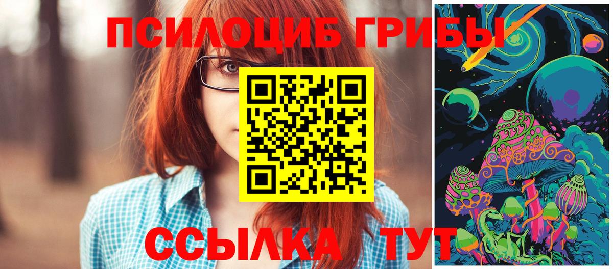 Псилоцибиновые грибы мицелий  Вход с VPN  Зеленодольск 