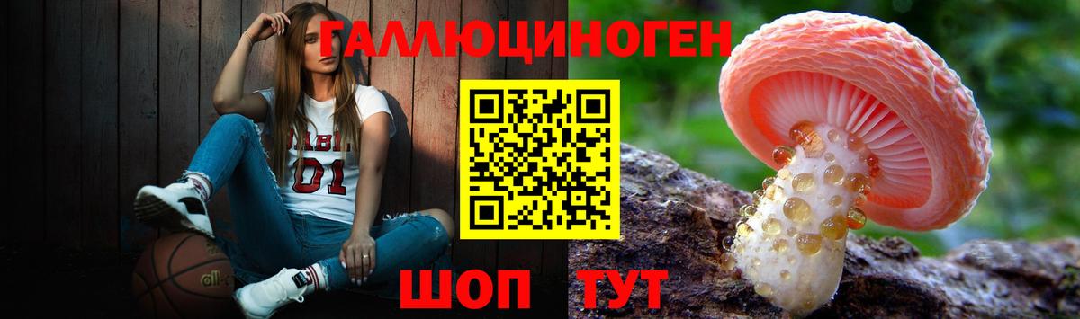 Псилоцибиновые грибы GOLDEN TEACHER Зеленодольск